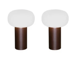 MeineWunschleuchte 2er Set LED Akku Outdoor Tischleuchten Mit RGB Farbwechsel, Rost Höhe 19cm -Bestes Beleuchtungs Geschäft 2er set led akku outdoor tischleuchten mit rgb far 1