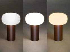 MeineWunschleuchte 2er Set LED Akku Outdoor Tischleuchten Mit RGB Farbwechsel, Rost Höhe 19cm -Bestes Beleuchtungs Geschäft 2er set led akku outdoor tischleuchten mit rgb far 5