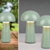 MeineWunschleuchte 2er SET Outdoor Akku LED Tischleuchten Touch Dimmer Grün Höhe 21cm -Bestes Beleuchtungs Geschäft 2er set outdoor akku led tischleuchten touch dimme 18