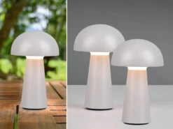 MeineWunschleuchte 2er SET Outdoor Akku LED Tischleuchten Touch Dimmer, Grau Höhe 21cm