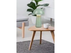 MeineWunschleuchte 2er SET Outdoor Akku LED Tischleuchten Touch Dimmer Grün Höhe 21cm -Bestes Beleuchtungs Geschäft 2er set outdoor akku led tischleuchten touch dimme 25