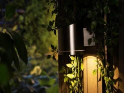 MeineWunschleuchte 2er-Set Solar Außenwandleuchten Edelstahl, Ø Ca. 9 Cm, Dämmerungssensor -Bestes Beleuchtungs Geschäft 2er set solar aussenwandleuchten edelstahl ca 9 cm 6