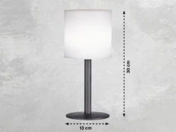 MeineWunschleuchte 2er SET Solar Tischlampen 30cm Ohne Kabel - Mit Fernbedienung Dimmbar & RGB -Bestes Beleuchtungs Geschäft 2er set solar tischlampen 30cm ohne kabel mit fern 2