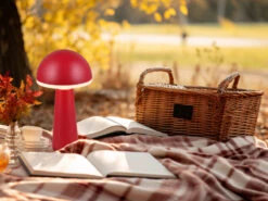 MeineWunschleuchte Akku LED Tischleuchten 2er SET Kabellos Für Innen & Außen, Rot - Höhe 30cm -Bestes Beleuchtungs Geschäft akku led tischleuchten 2er set kabellos fuer innen 16