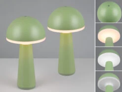 MeineWunschleuchte Akku LED Tischleuchten 2er SET Kabellos Für Innen & Außen, Grün Höhe - 30cm