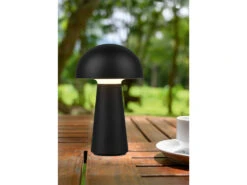 Reality Leuchten Akku Tischleuchte LENNON Ohne Kabel Per USB Ladbar & Dimmbar, Schwarz, H. 21cm -Bestes Beleuchtungs Geschäft akku tischleuchte lennon ohne kabel per usb ladbar 8