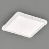 Reality Leuchten Dimmbare LED Deckenleuchte CAMILLUS Flache Badezimmerlampe 30x30cm Weiß IP44 -Bestes Beleuchtungs Geschäft dimmbare led deckenleuchte camillus flache badezim