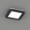 Reality Leuchten Dimmbare LED Deckenleuchte CAMILLUS Flache Badezimmerlampe 17x17cm Schwarz IP44 -Bestes Beleuchtungs Geschäft dimmbare led deckenleuchte camillus flache badezim 30