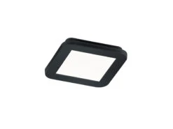 Reality Leuchten Dimmbare LED Deckenleuchte CAMILLUS Flache Badezimmerlampe 17x17cm Schwarz IP44 -Bestes Beleuchtungs Geschäft dimmbare led deckenleuchte camillus flache badezim 31