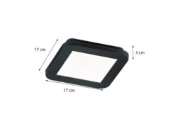 Reality Leuchten Dimmbare LED Deckenleuchte CAMILLUS Flache Badezimmerlampe 17x17cm Schwarz IP44 -Bestes Beleuchtungs Geschäft dimmbare led deckenleuchte camillus flache badezim 32