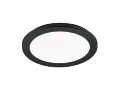 Reality Leuchten Dimmbare LED Deckenleuchte CAMILLUS Flache Badezimmerlampe Ø26cm Schwarz IP44 -Bestes Beleuchtungs Geschäft dimmbare led deckenleuchte camillus flache badezim 61