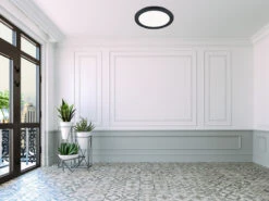 Reality Leuchten Dimmbare LED Deckenleuchte CAMILLUS Flache Badezimmerlampe Ø26cm Schwarz IP44 -Bestes Beleuchtungs Geschäft dimmbare led deckenleuchte camillus flache badezim 64