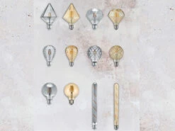 Trio Leuchten E27 Filament LED - 4 Watt, 140 Lumen, Warmweiß, Ø11,5cm - Nicht Dimmbar 9 Trio Leuchten E27 Filament LED - 4 Watt, 140 Lumen, Warmweiß, Ø11,5cm - Nicht Dimmbar -Bestes Beleuchtungs Geschäft e27 filament led 4 watt 140 lumen warmweiss 115cm 1 2