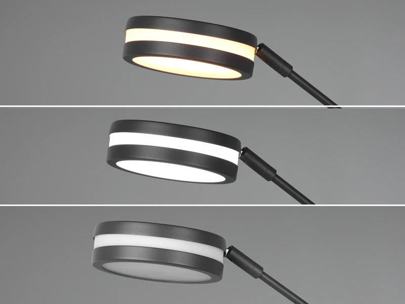 Trio Leuchten Großer LED Deckenfluter FRANKLIN Mit Lesearm, Höhe 181cm, Anthrazit 9 Trio Leuchten Großer LED Deckenfluter FRANKLIN Mit Lesearm, Höhe 181cm, Anthrazit – Bild 7