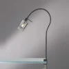 Fischer & Honsel Klemmlampe ISKA Schwarz Mit Rauchglas - Leselampe Mit Schwanenhals -Bestes Beleuchtungs Geschäft klemmlampe iska schwarz mit rauchglas leselampe mi