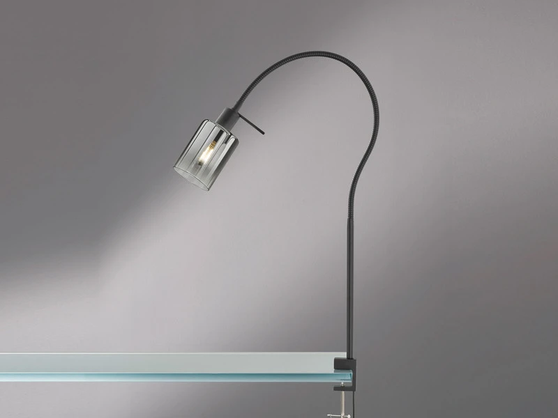 Fischer & Honsel Klemmlampe ISKA Schwarz Mit Rauchglas - Leselampe Mit Schwanenhals 3 Fischer & Honsel Klemmlampe ISKA Schwarz Mit Rauchglas - Leselampe Mit Schwanenhals