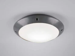 Reality Leuchten LED Außendeckenleuchte Wandlampe Rund In Anthrazit - 26 Cm -Bestes Beleuchtungs Geschäft led aussendeckenleuchte wandlampe rund in anthrazi 3