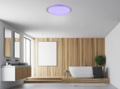 Trio Leuchten LED Deckenleuchte FRODENO Fernbedienung Dimmbar Sternenhimmel Farbwechsel Ø35cm -Bestes Beleuchtungs Geschäft led deckenleuchte frodeno fernbedienung dimmbar st 13