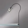 MeineWunschleuchte LED Klemmlampe Schwarz Mit Rauchglas - Leselampe Mit Schwanenhals -Bestes Beleuchtungs Geschäft led klemmlampe schwarz mit rauchglas leselampe mit