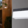 Lutec LED Solar Wandleuchte FRAN Breite 18cm Bewegungsmelder, Per App Steuerbar -Bestes Beleuchtungs Geschäft led solar wandleuchte fran breite 18cm bewegungsme