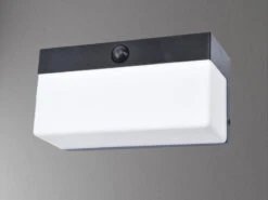 Lutec LED Solar Wandleuchte FRAN Breite 18cm Bewegungsmelder, Per App Steuerbar -Bestes Beleuchtungs Geschäft led solar wandleuchte fran breite 18cm bewegungsme 2