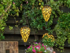 MeineWunschleuchte LED Solarlaternen Hängeleuchten 2er Set, Lampenschirm Amber, Höhe 50cm -Bestes Beleuchtungs Geschäft led solarlaternen haengeleuchten 2er set lampensch 4