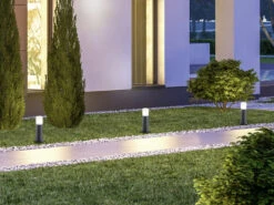 MeineWunschleuchte LED Wegeleuchte Sockelleuchte In Anthrazit Höhe 30cm IP44 - Außenleuchten -Bestes Beleuchtungs Geschäft led wegeleuchte sockelleuchte in anthrazit hoehe 3 5