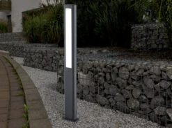 Trio Leuchten LED Wegeleuchten 2er SET Aus Aluminium Anthrazit & Weißem Acrylglas, IP54 -Bestes Beleuchtungs Geschäft led wegeleuchten 2er set aus aluminium anthrazit w 5