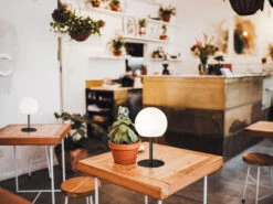 FHL Easy Outdoor Akku Tischlampe TRIVENTO Ohne Kabel - Dimmbar & RGB, H: 18cm -Bestes Beleuchtungs Geschäft outdoor akku tischlampe trivento ohne kabel dimmba 7