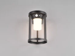 Trio Leuchten Solar Außenwandleuchte CARMO Mit Bewegungsmelder & Dauerlicht, H. 20cm -Bestes Beleuchtungs Geschäft solar aussenwandleuchte carmo mit bewegungsmelder 1 4