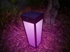 Lutec Solar LED Wegeleuchte DIAS 48cm, Bewegungsmelder & RGB Farbwechsel -Bestes Beleuchtungs Geschäft solar led wegeleuchte dias 48cm bewegungsmelder rg 7