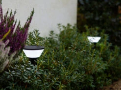 Lutec Solar LED Wegeleuchte KARLO 45cm, Bewegungsmelder & RGB Farbwechsel -Bestes Beleuchtungs Geschäft solar led wegeleuchte karlo 45cm bewegungsmelder r 2