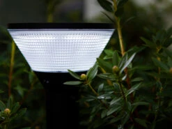 Lutec Solar LED Wegeleuchte KARLO 45cm, Bewegungsmelder & RGB Farbwechsel -Bestes Beleuchtungs Geschäft solar led wegeleuchte karlo 45cm bewegungsmelder r 6